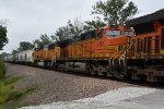 BNSF 4181 Roster shot